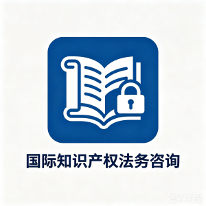 国际知识产权法律咨询